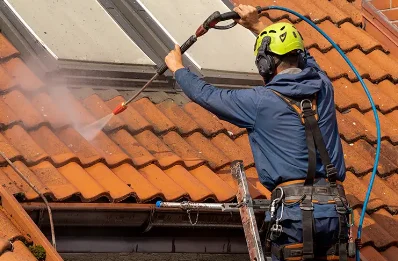 Démoussage et hydrofuge de toiture à Abondant